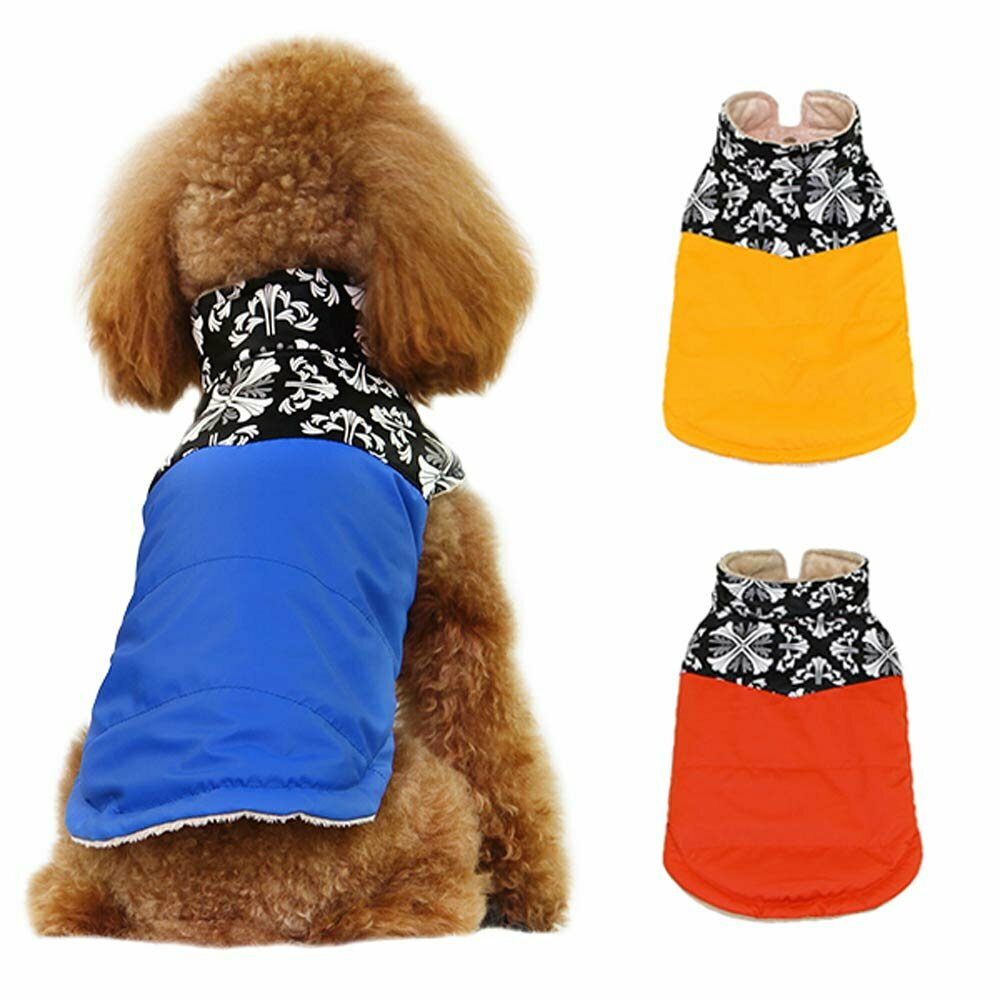 Warme Hundebekleidung von GogiPet für moderne Hunde