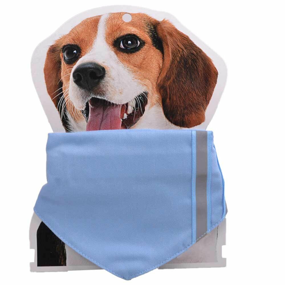 Hellblaues Hundehalsband mit Reflexionsstreifen und Halstuch
