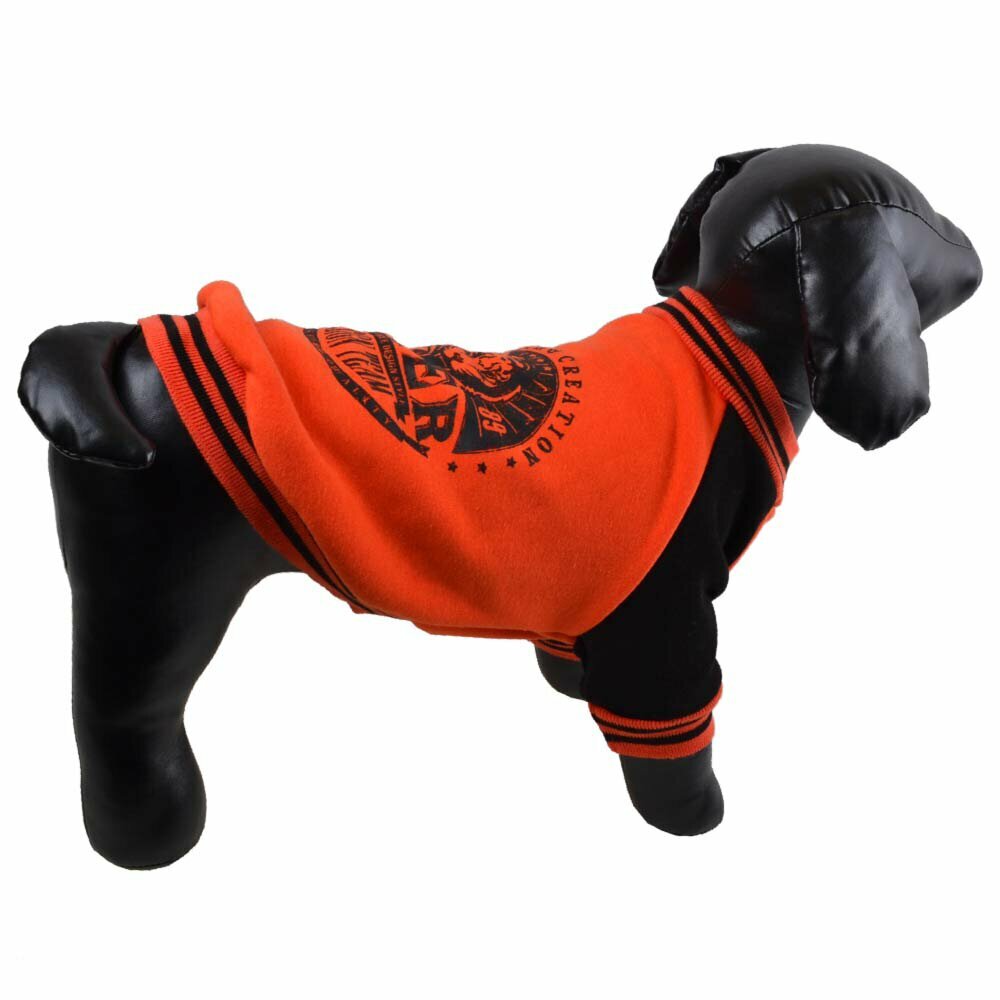 Warmer Hundepullover von GogiPet orange