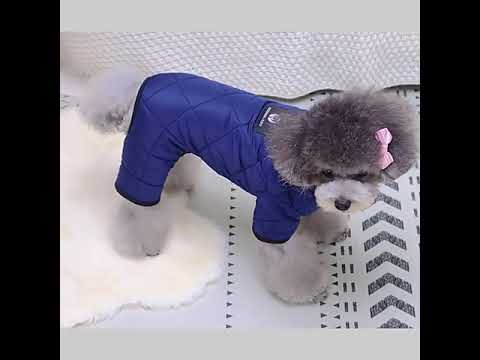 Gelber Schneeanzug - warme Hundebekleidung für den Winter