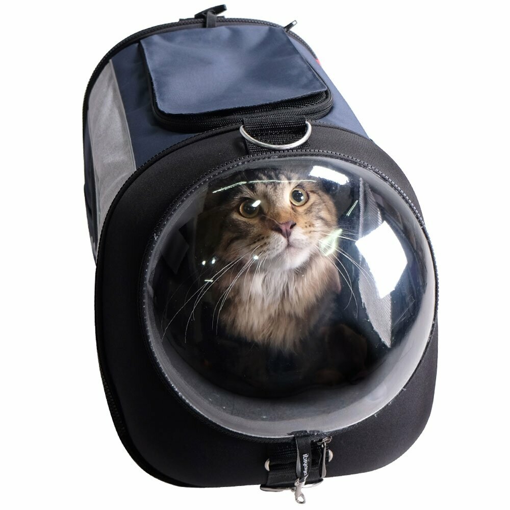 Katzentasche für den Transport