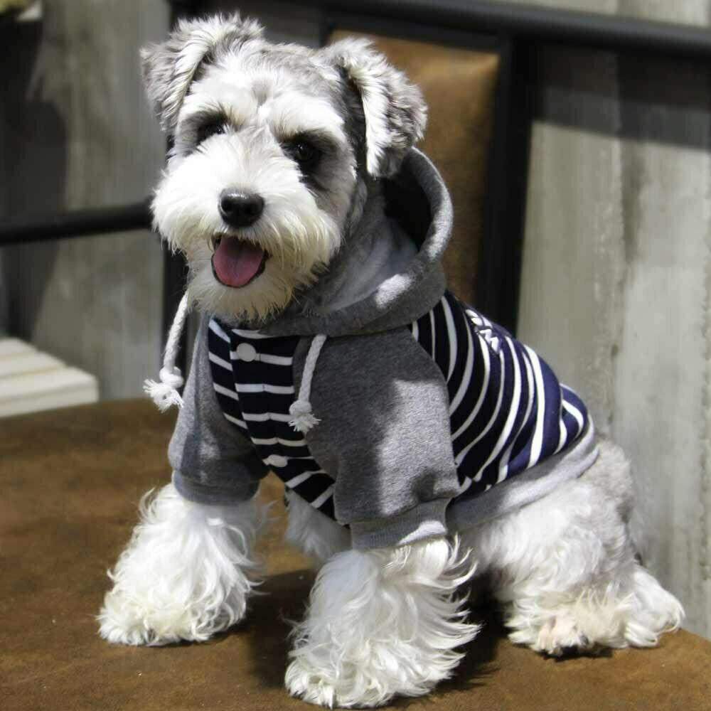 GogiPet Hundebekleidung günstig kaufen