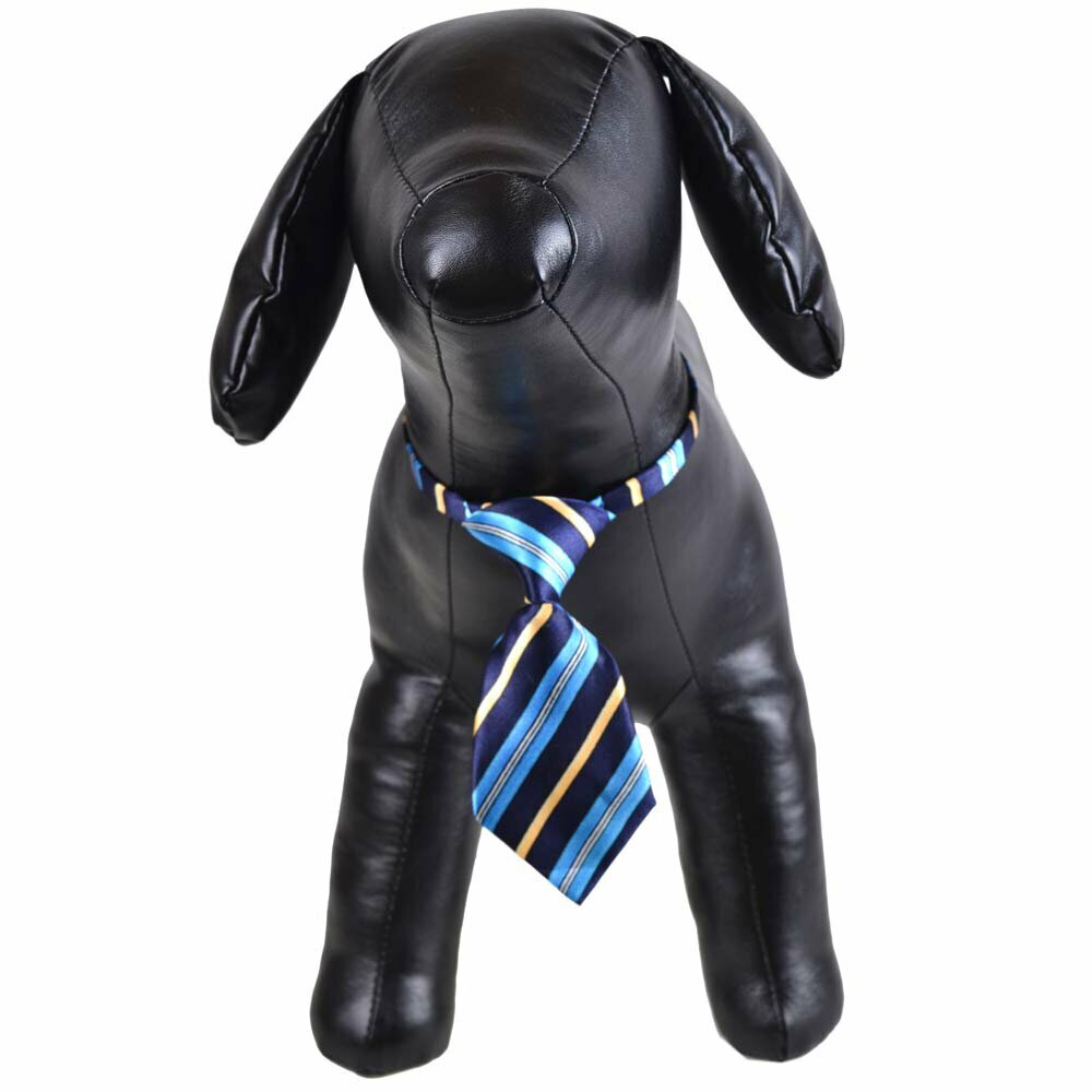 Krawatte für Hunde blau gestreift