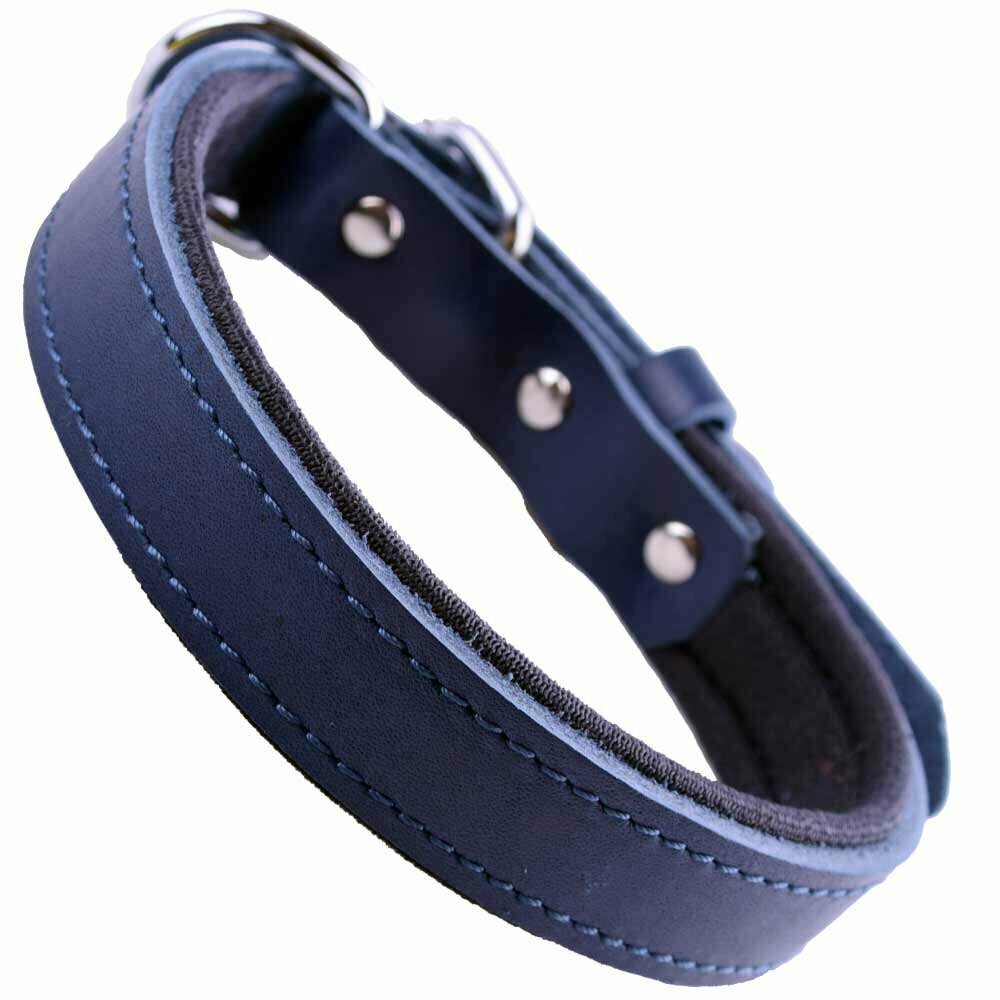 GogiPet® Komfort- Lederhundehalsband blau mit 40 cm