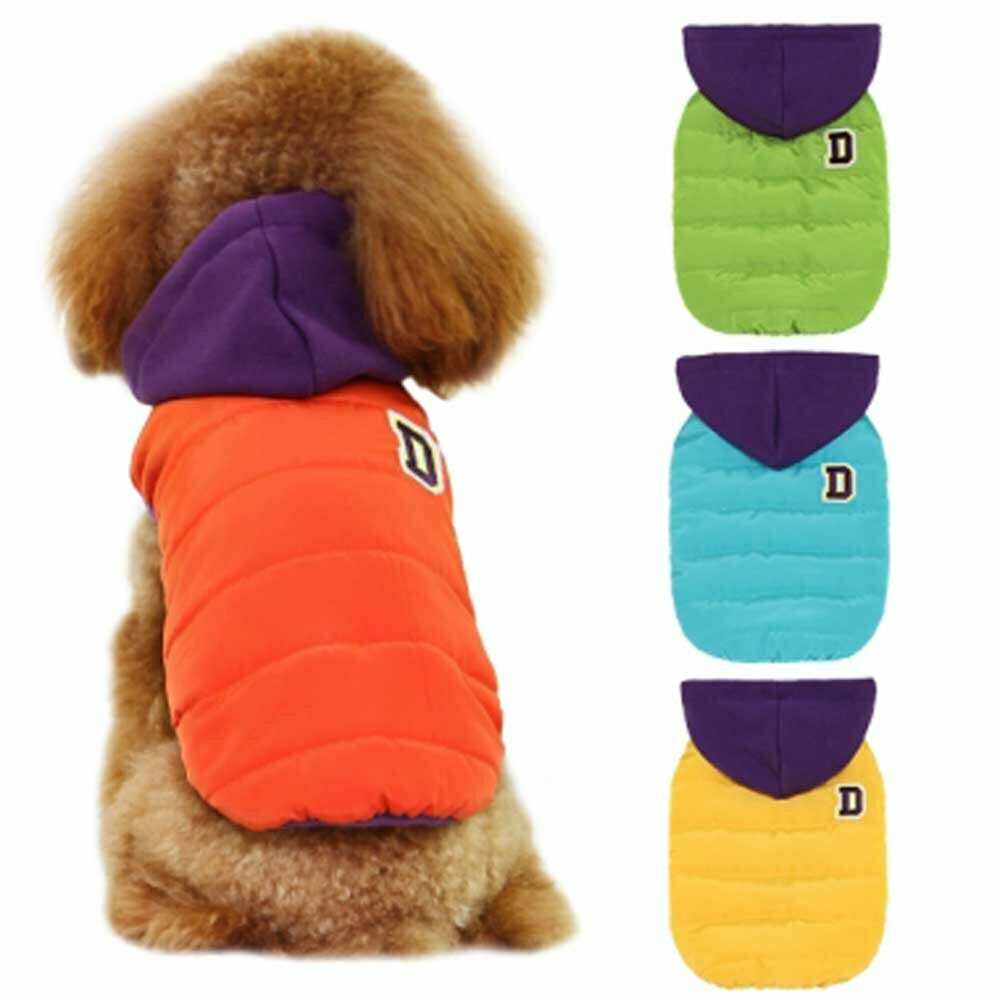 Moderne warme Hundebekleidung von GogiPet