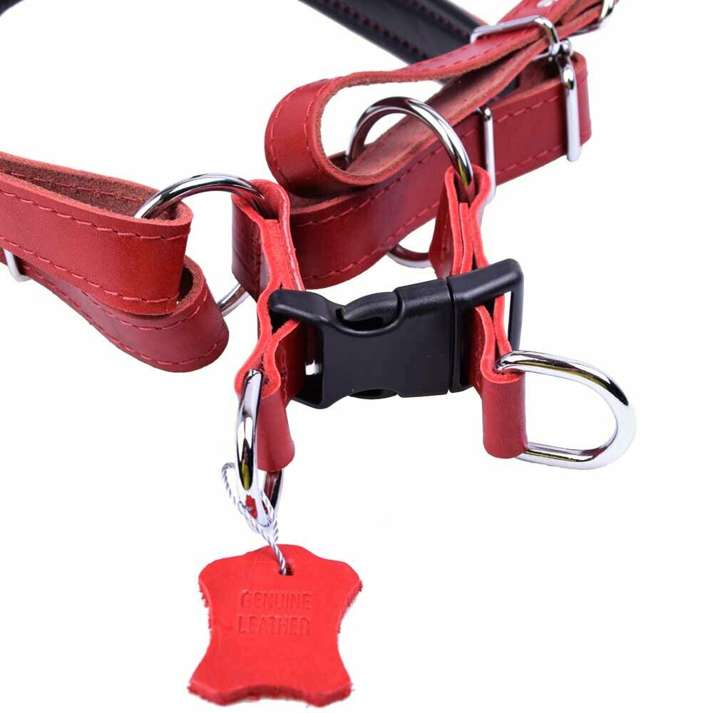 Hundebrustgeschirr aus Leder mit Schnellverschluss rot
