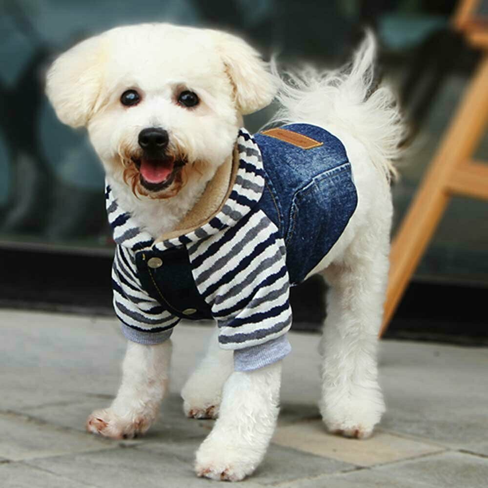 Warme Hundebekleidung - Blue Jeans Hundejacke