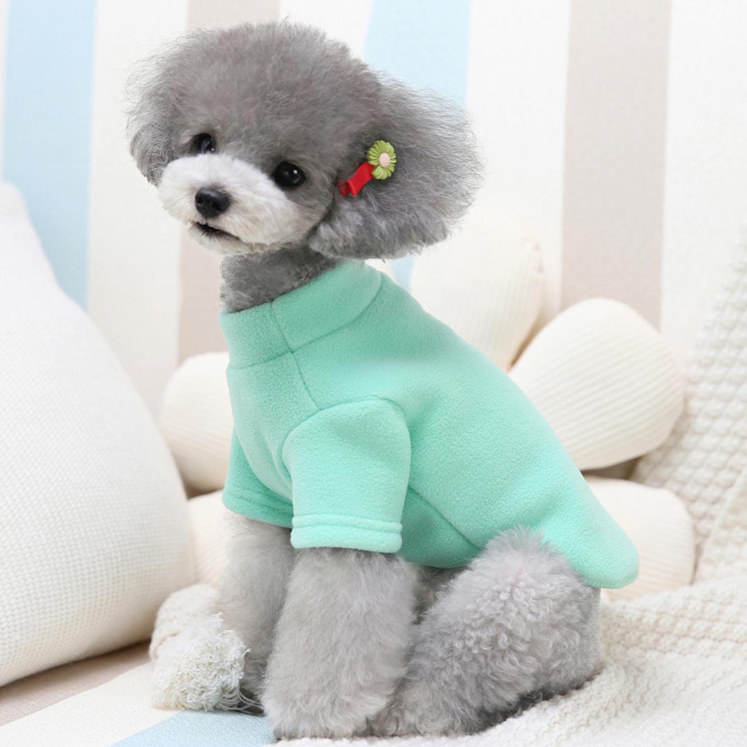 Kuschelig warmer Hundepullover - Grüner Teddysweater