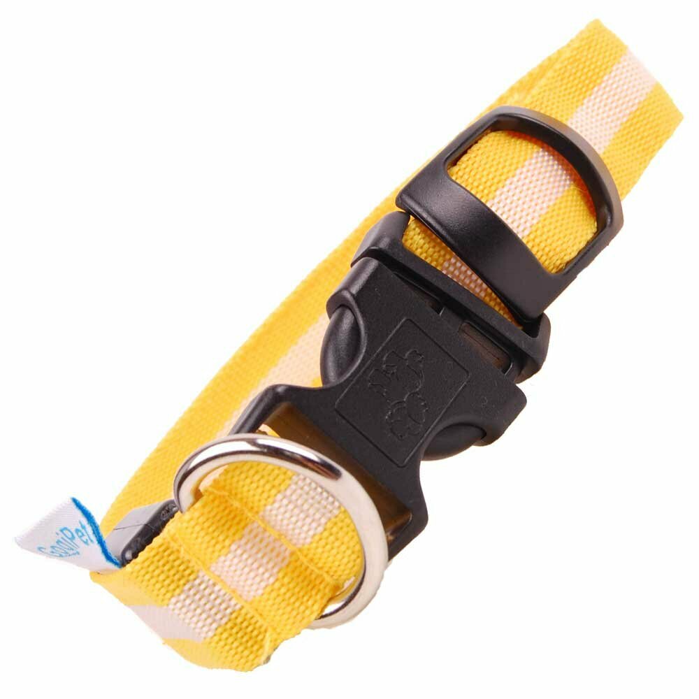 Blink Hundehalsband mit LED Licht - günstige Hundehalsbänder von GogiPet ®