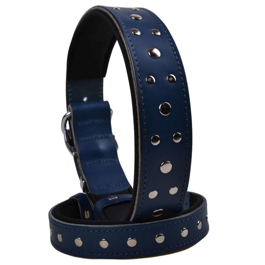 Blue, handmade GogiPet studded leather dog collar