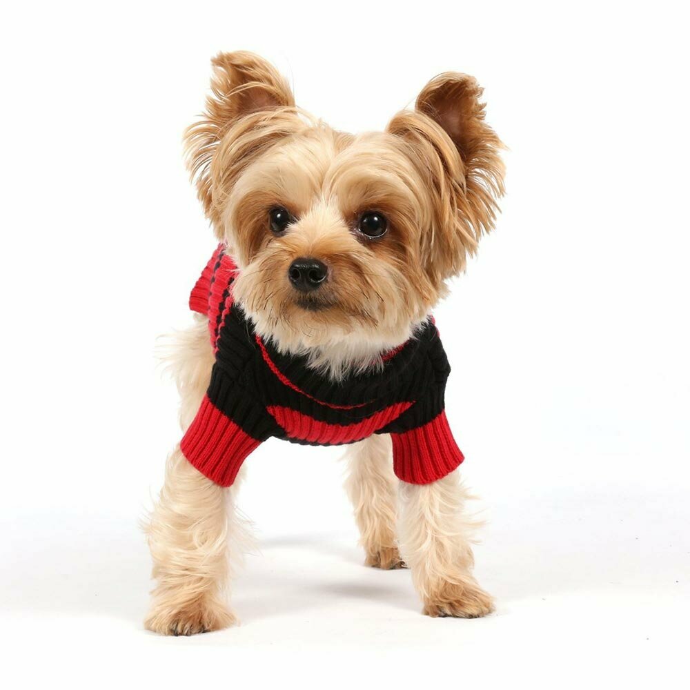 Moderner Pullover für Hunde