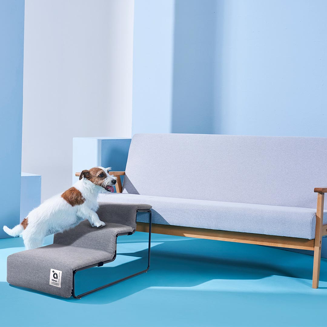 Tiertreppen für Ihre Lieblinge damit sie gelenkschonend das Sofa und Bett erreichen können