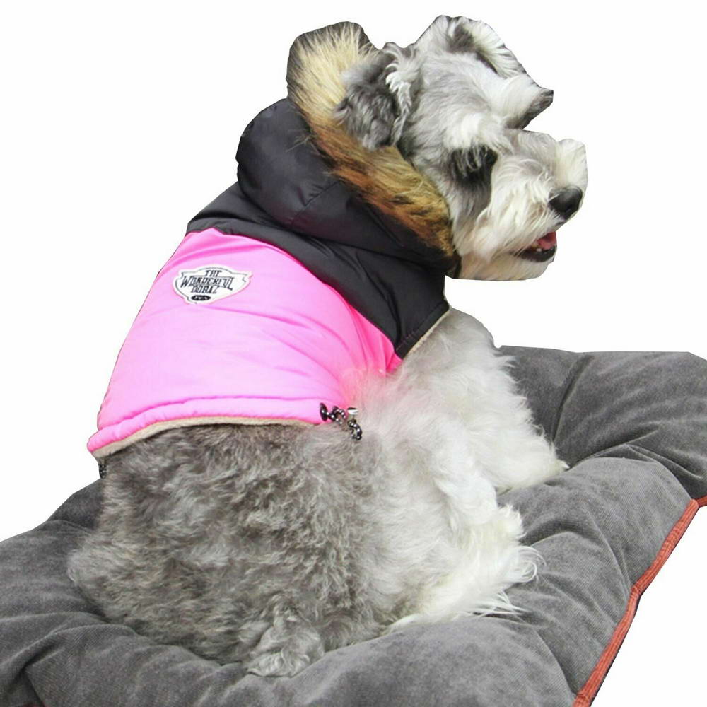 Warme Hundebekleidung für kleine Hunde