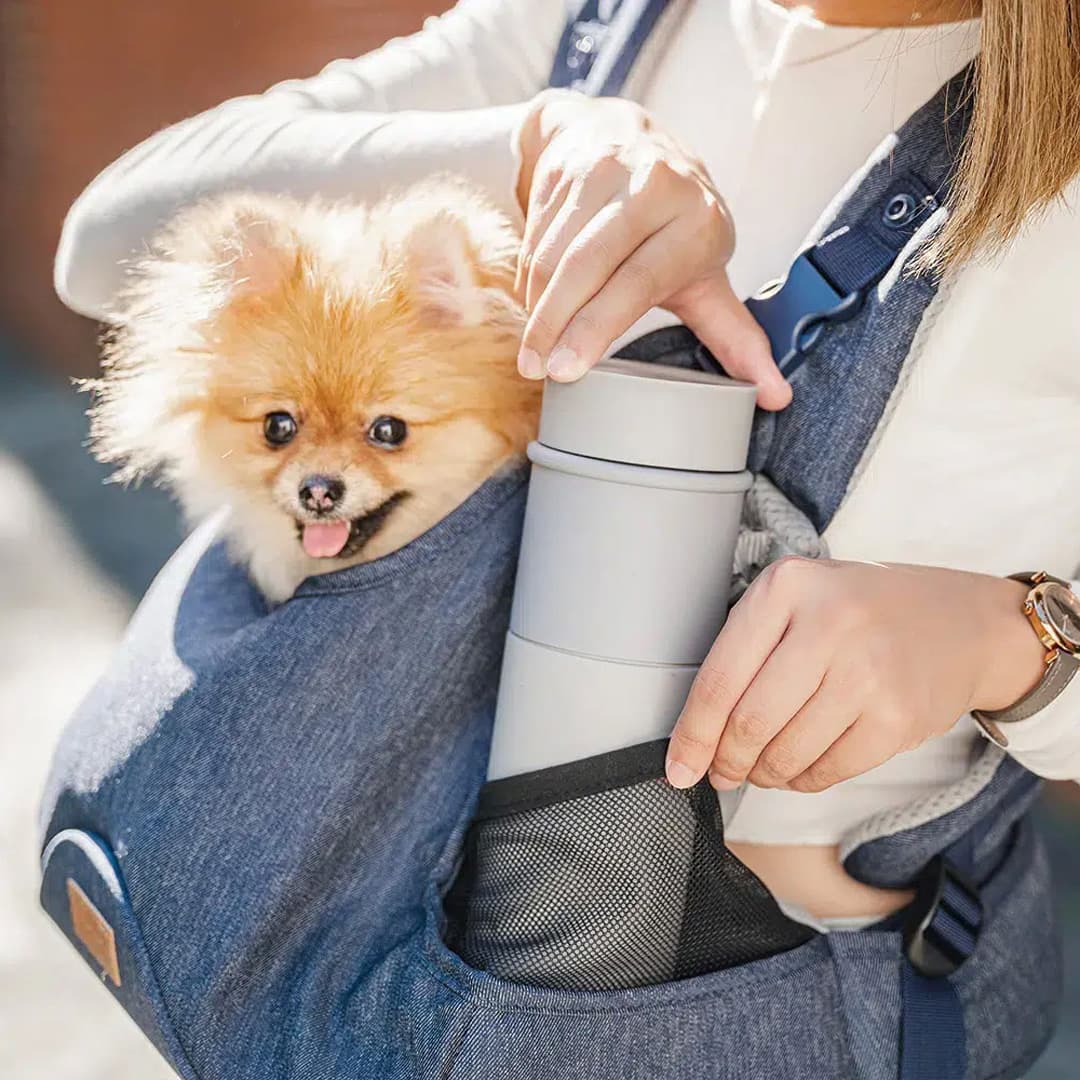GogiPet Hundetrage mit Taschen für persönliche Gegenstände