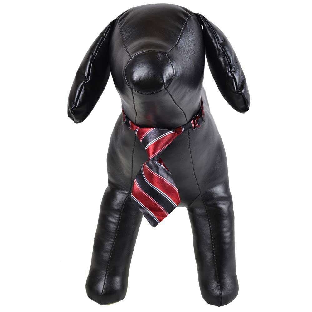 Krawatte für Hunde schwarz, rot gestreift