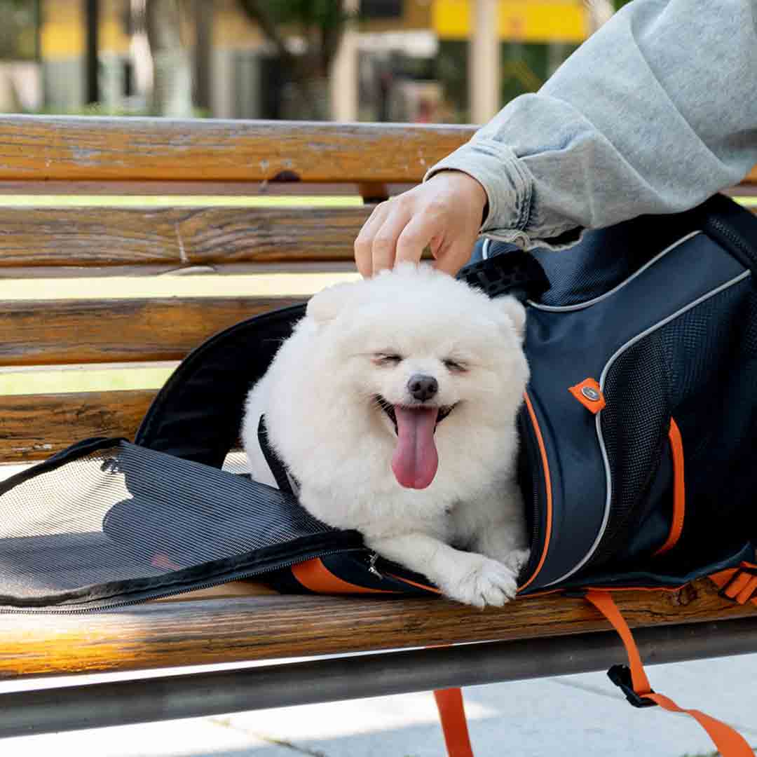 Hunderucksack mit geschütztem Liegeplatz