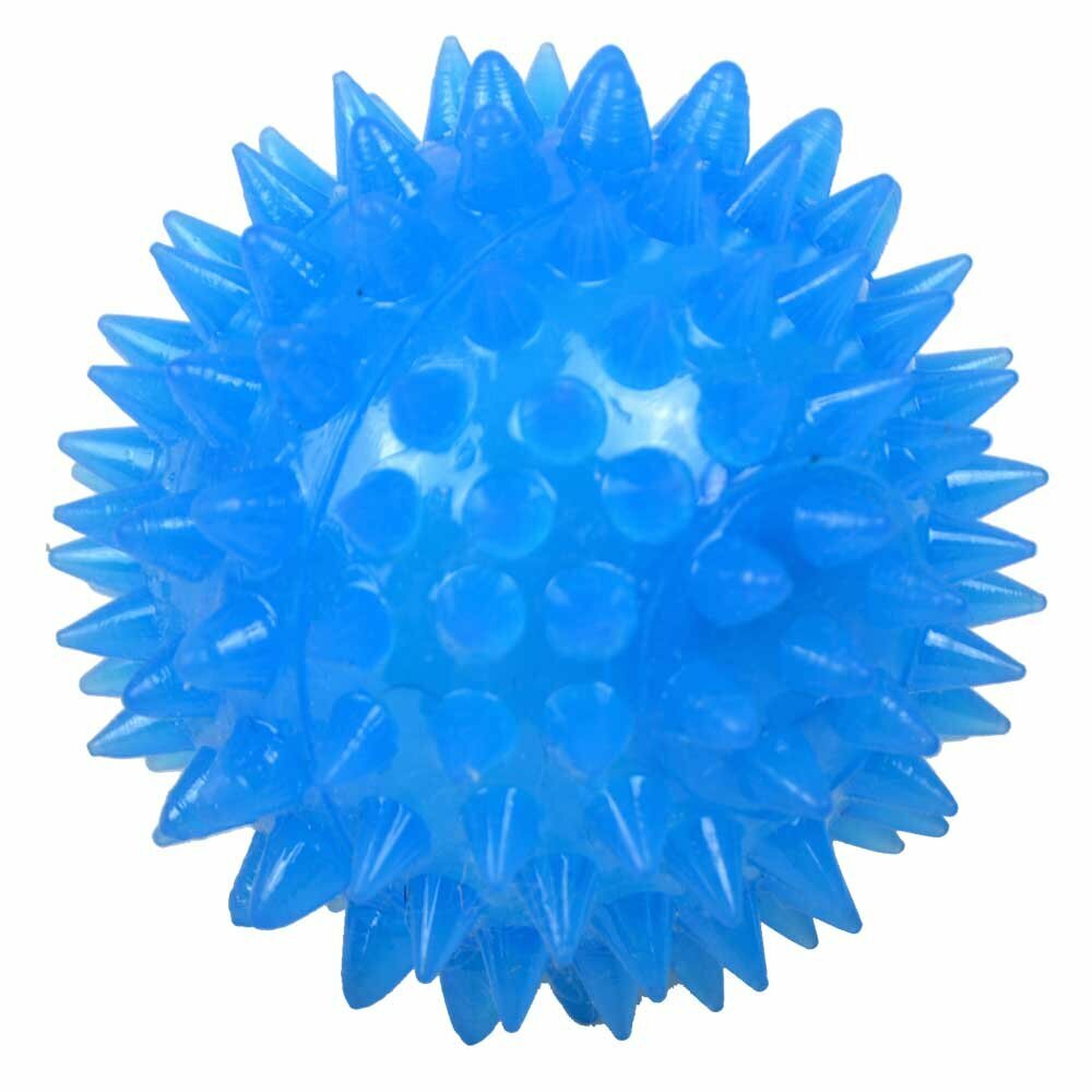 Blauer Klangball mit Licht - Hundespielzeug