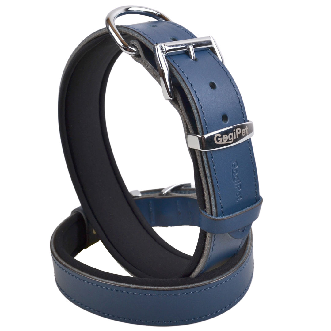 Blaues Komfort Lederhundehalsband schwarz mit weicher Polsterung