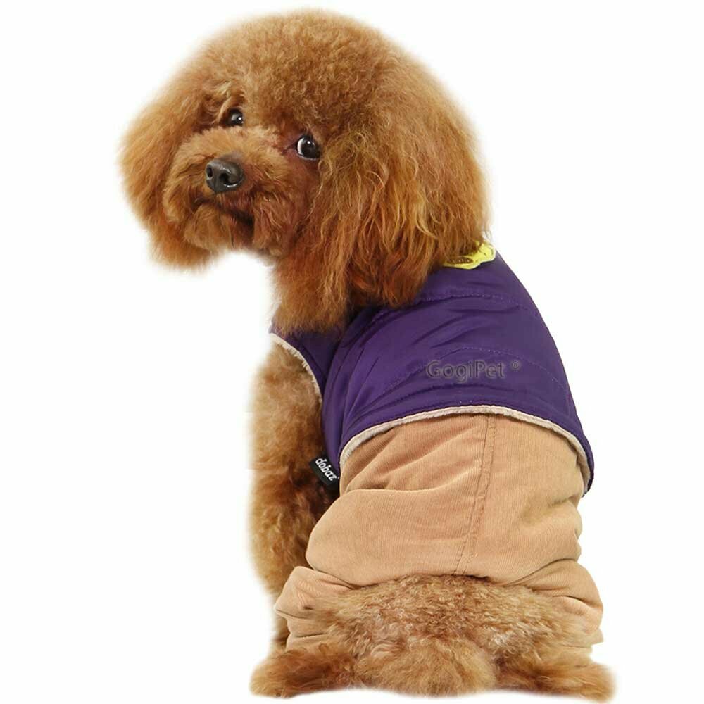 GogiPet ® Hundegewand für den Winter - lila Hundejacke mit brauner Hundehose