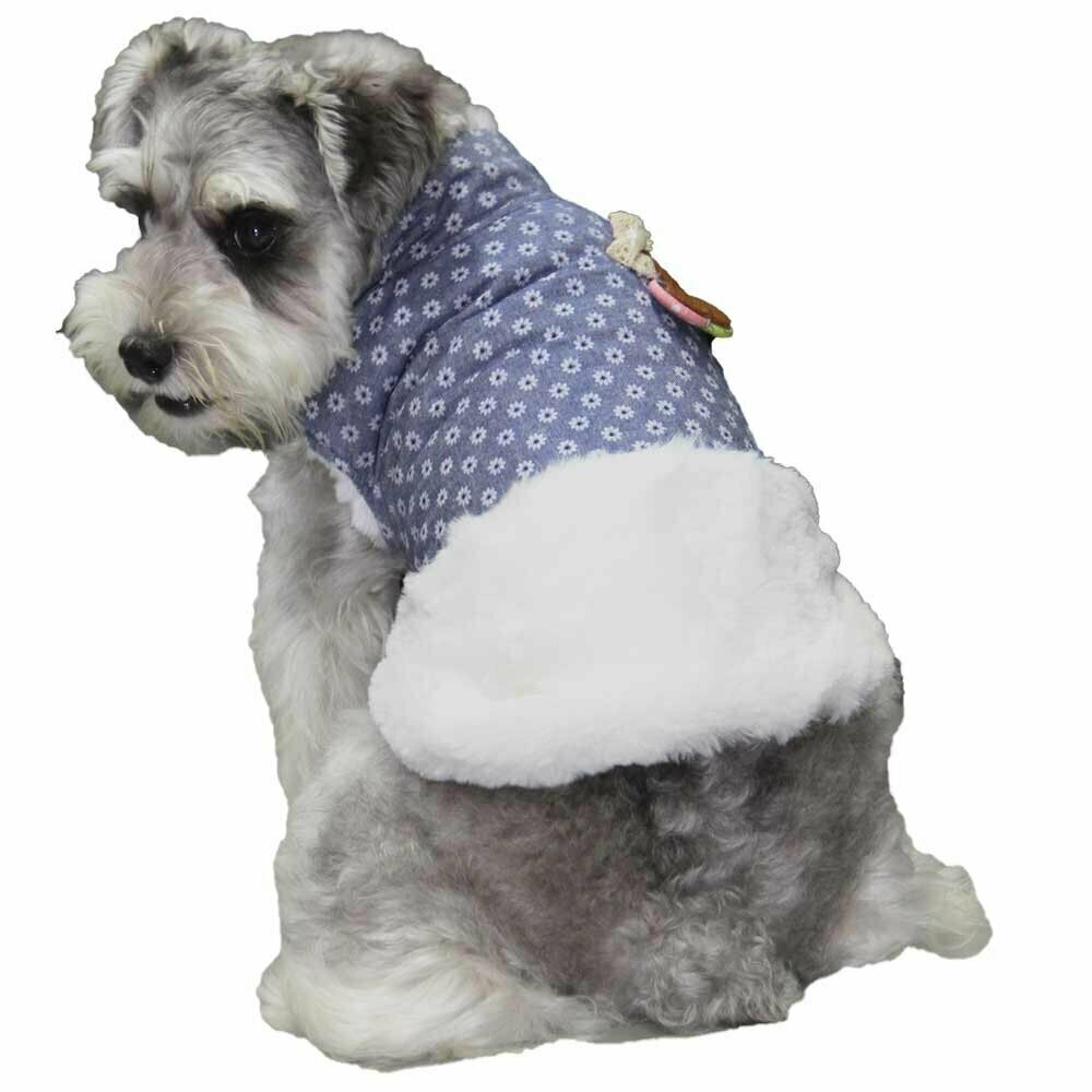 Hochwertige warme Hundebekleidung von GogiPet