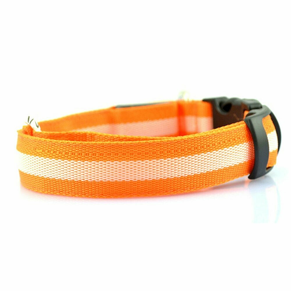 Größenverstellbares GogiPet ® Hundehalsband mit LEDs Orange L