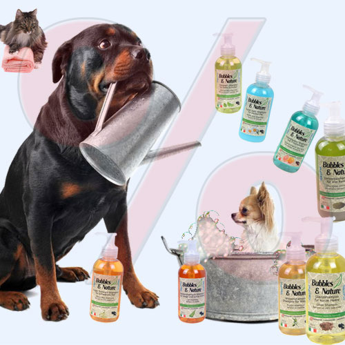 Hundepflege Aktionen - Produkte für die kosmetische und mechanische Tierpflege
