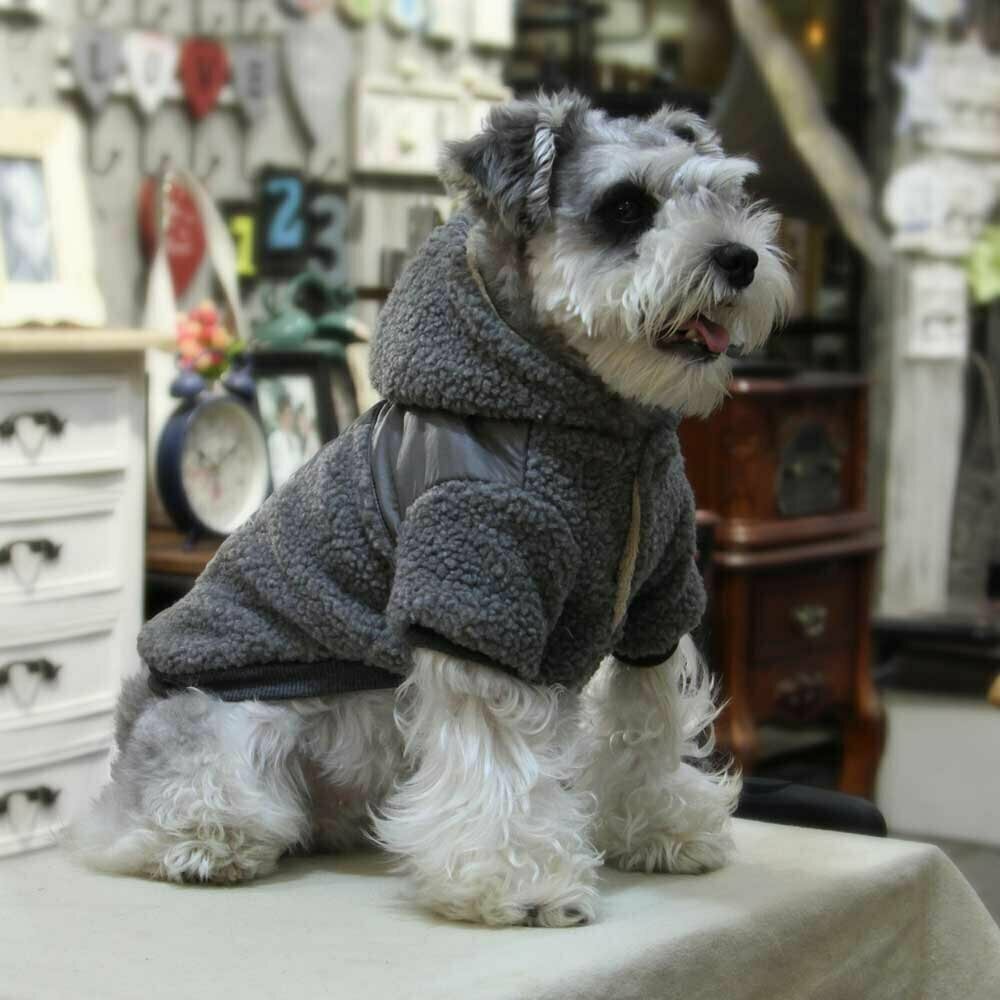 Warmes Hundegewand für den Winter - grauer Anorak für Hunde
