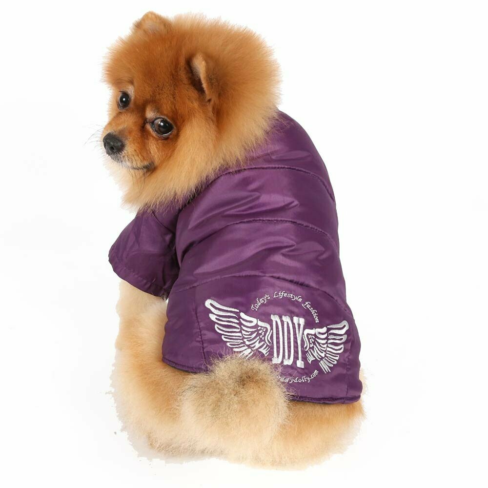 Warme Hundebekleidung für den kalten Winter - warmes Hundegewand Anorak