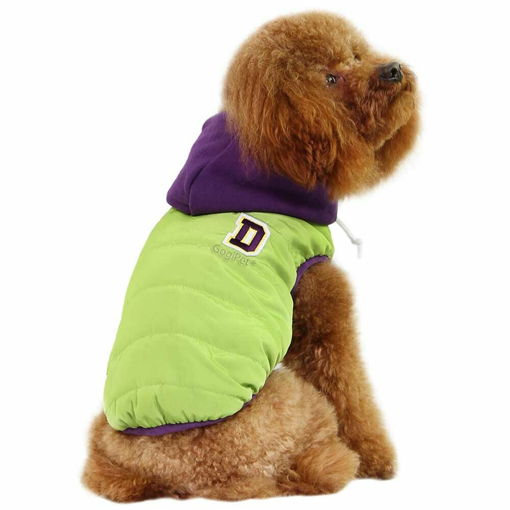 Warme Hundebekleidung für den Winter hellgrün von GogiPet ®