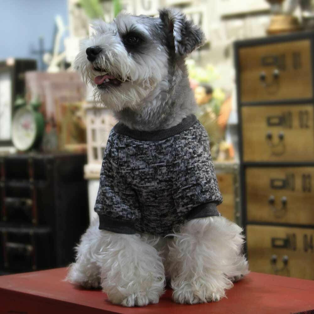 Grauer Hundepullover aus 100 % Baumwolle