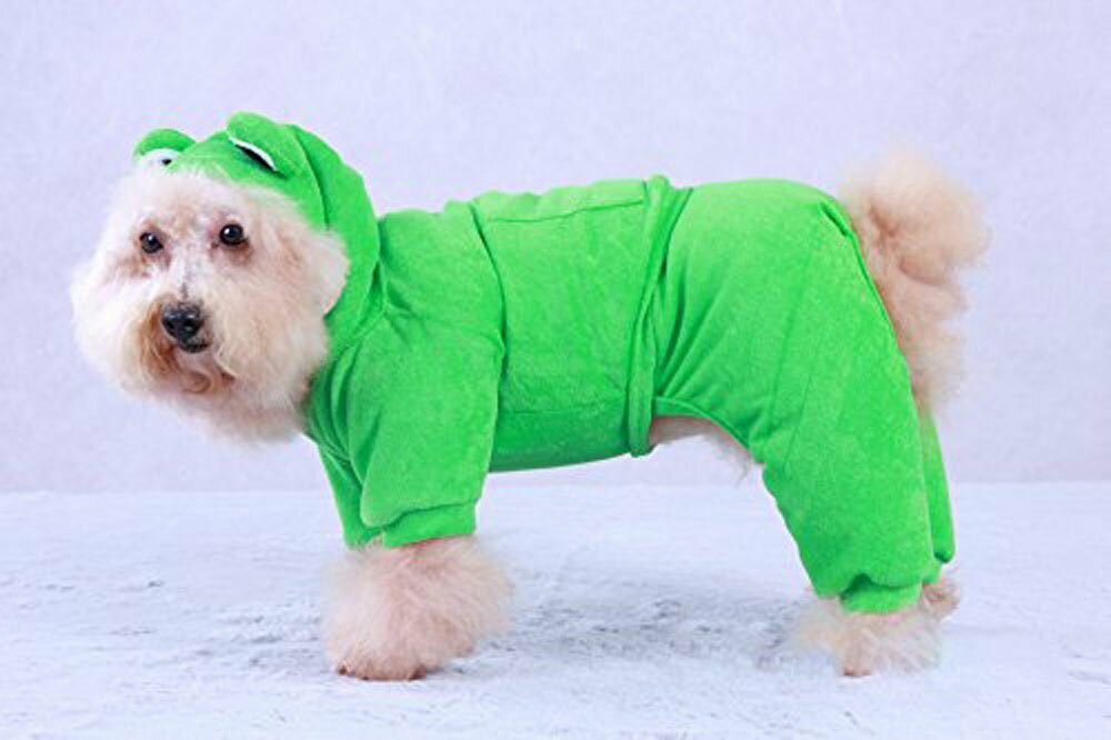 Hundekostüm - grüner Frosch