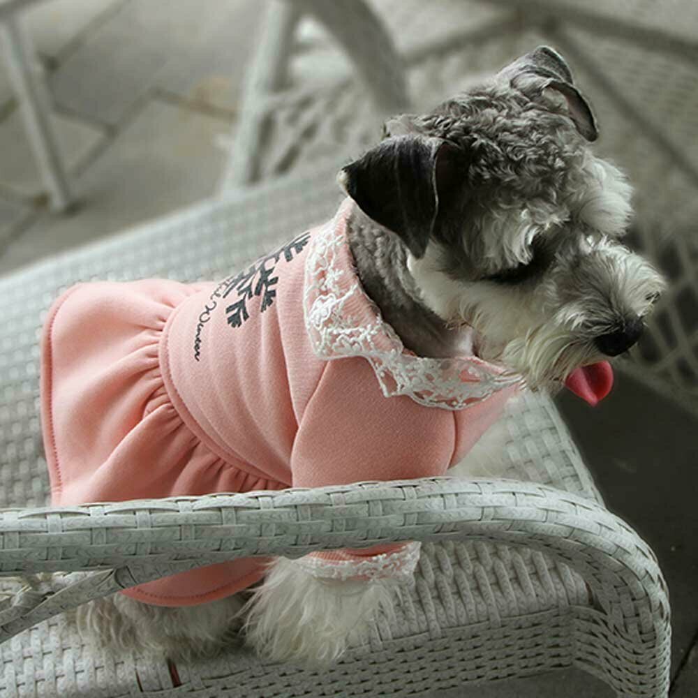 Winterkleid für Hunde pink