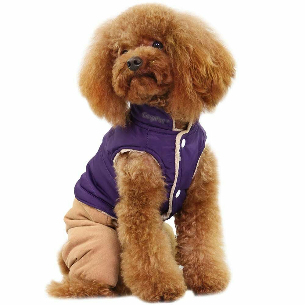 GogiPet® Hundeeinteiler - Warmes Hundegewand für den Winter lila