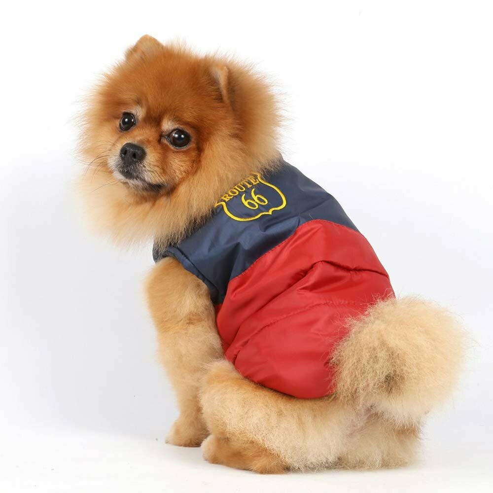 Kuschelwame Hundebekleidung - Hundegewand von Onlinezoo