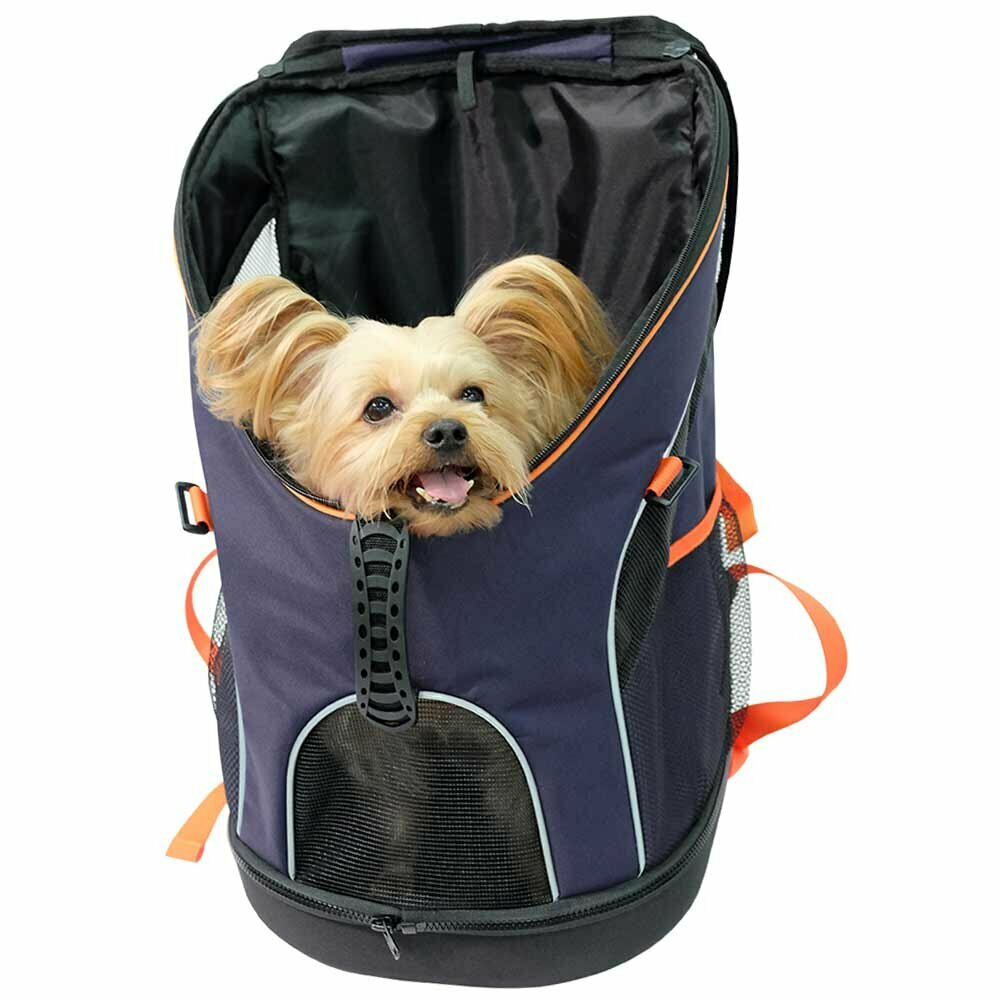 Rucksack für Hunde als Hundetasche