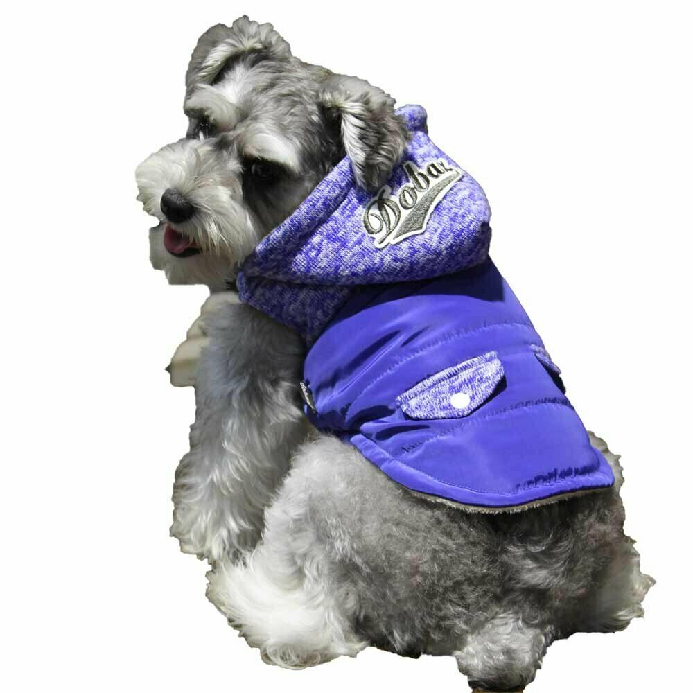 Hochwertige, warme Hundebekleidung - blauer Anorak