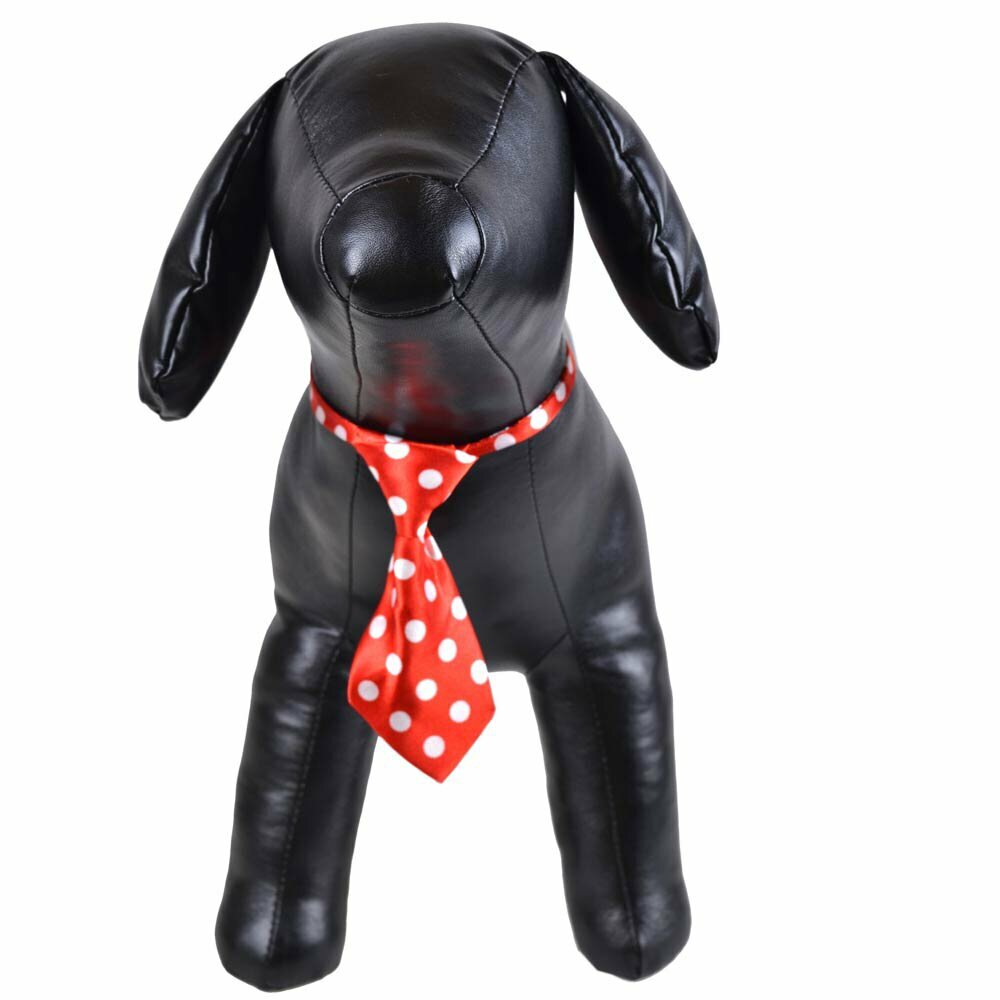 Krawatte für Hunde rot gepunktet