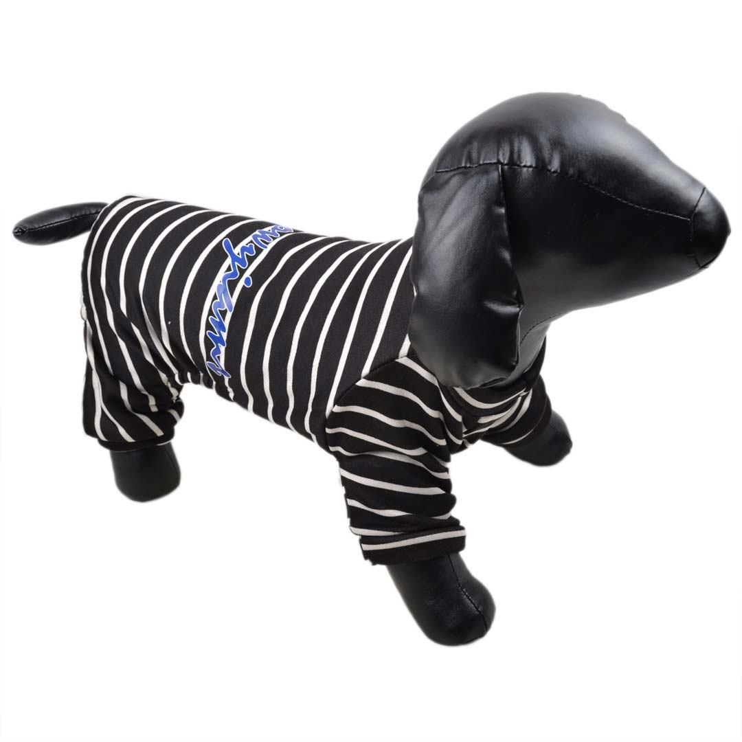 sportlicher Hundejogger, schwarz mit weißen Streifen