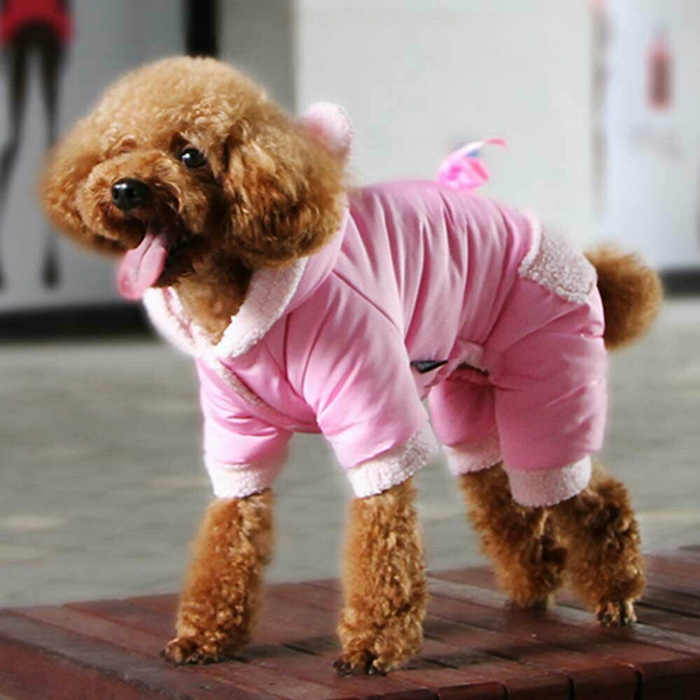 Sehr warme Hundebekleidung