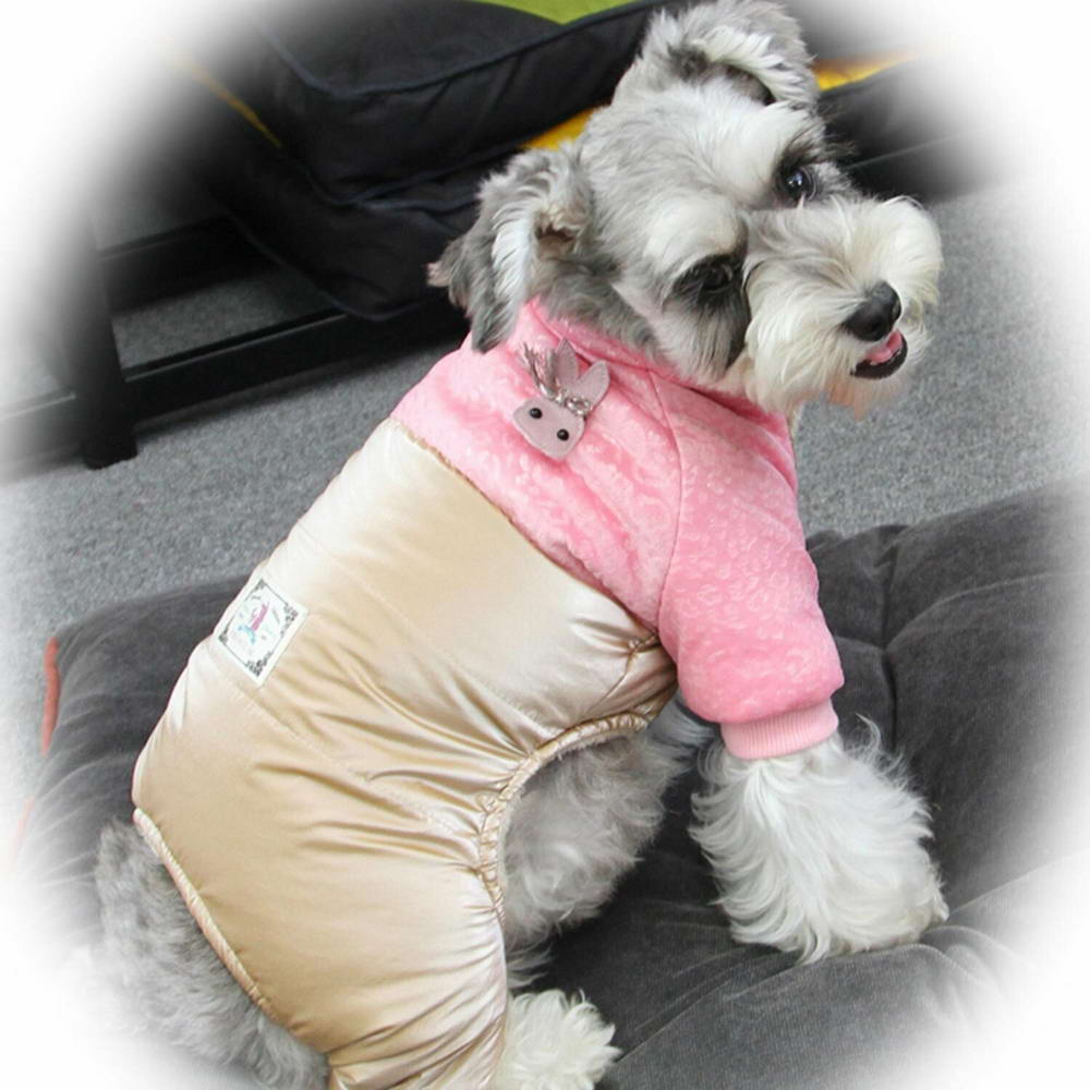 Hundebekleidung für den Winter - Hundemantel