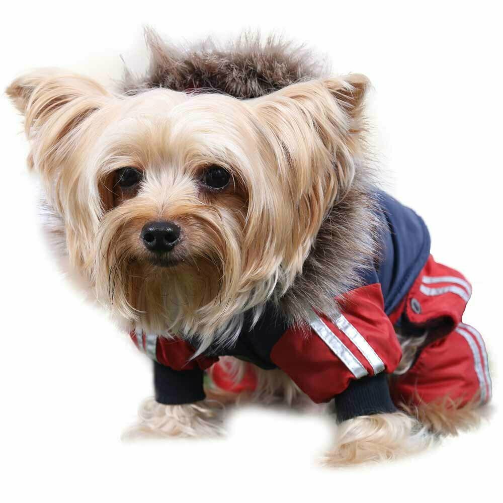Schöner Hundeschneeanzug - warme Hundebekleidung