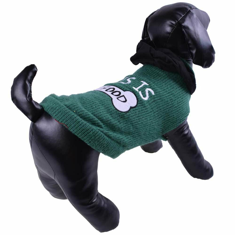 Hundepullover - grüner Strickpullover - Hundebekleidung
