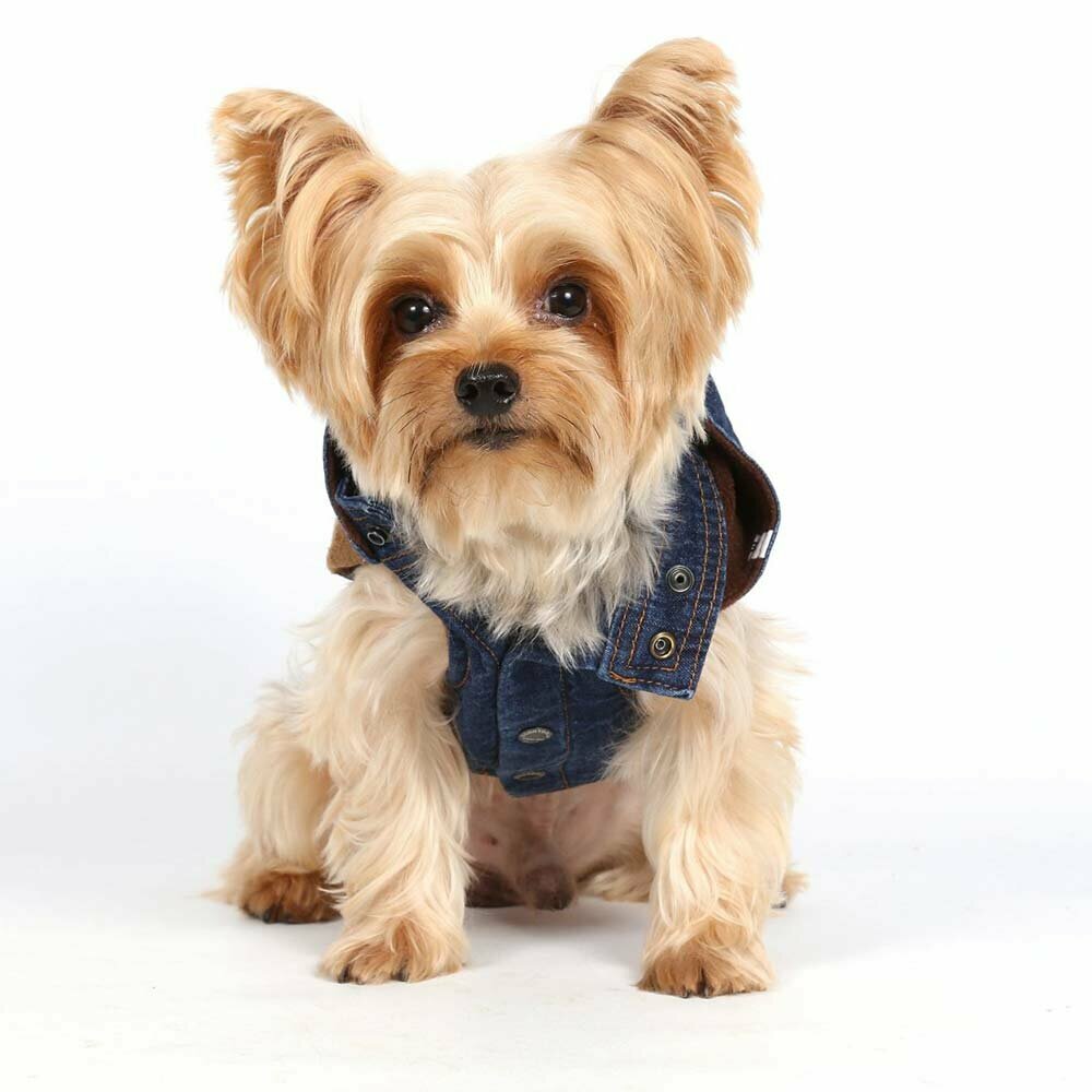 Wintermoden für Hunde bei Onlinezoo - warme Jeans Hundejacke