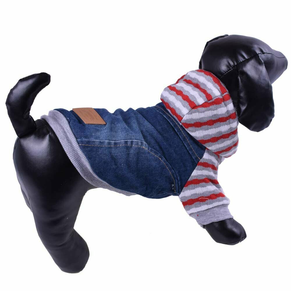 Warme Hundebekleidung - Jeansjacke mit Kapuze