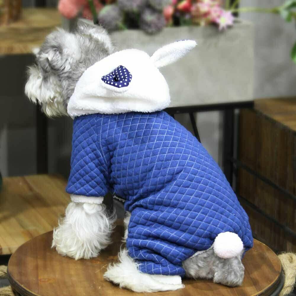 Blue Bunny Hundebekleidung von GogiPet