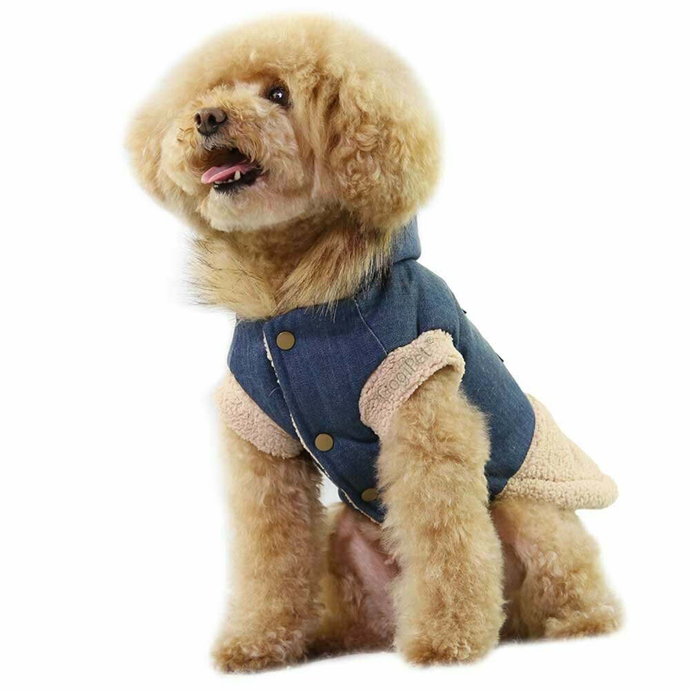 Sehr moderner hochwertiger Hundemantel aus Denim Jeans mit Lammfell Fütterung