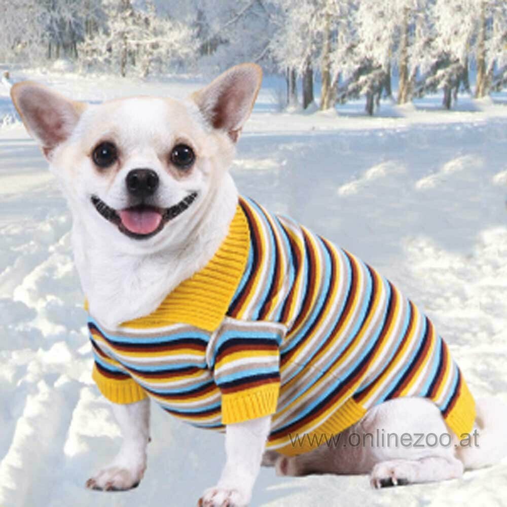 Winterpullover für Hunde von DoggyDolly W270