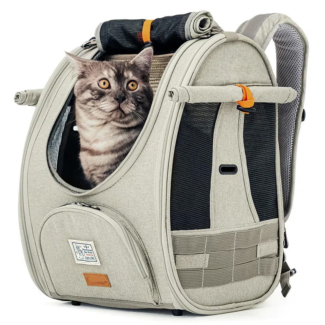 Katzenrucksack für Flugreisen