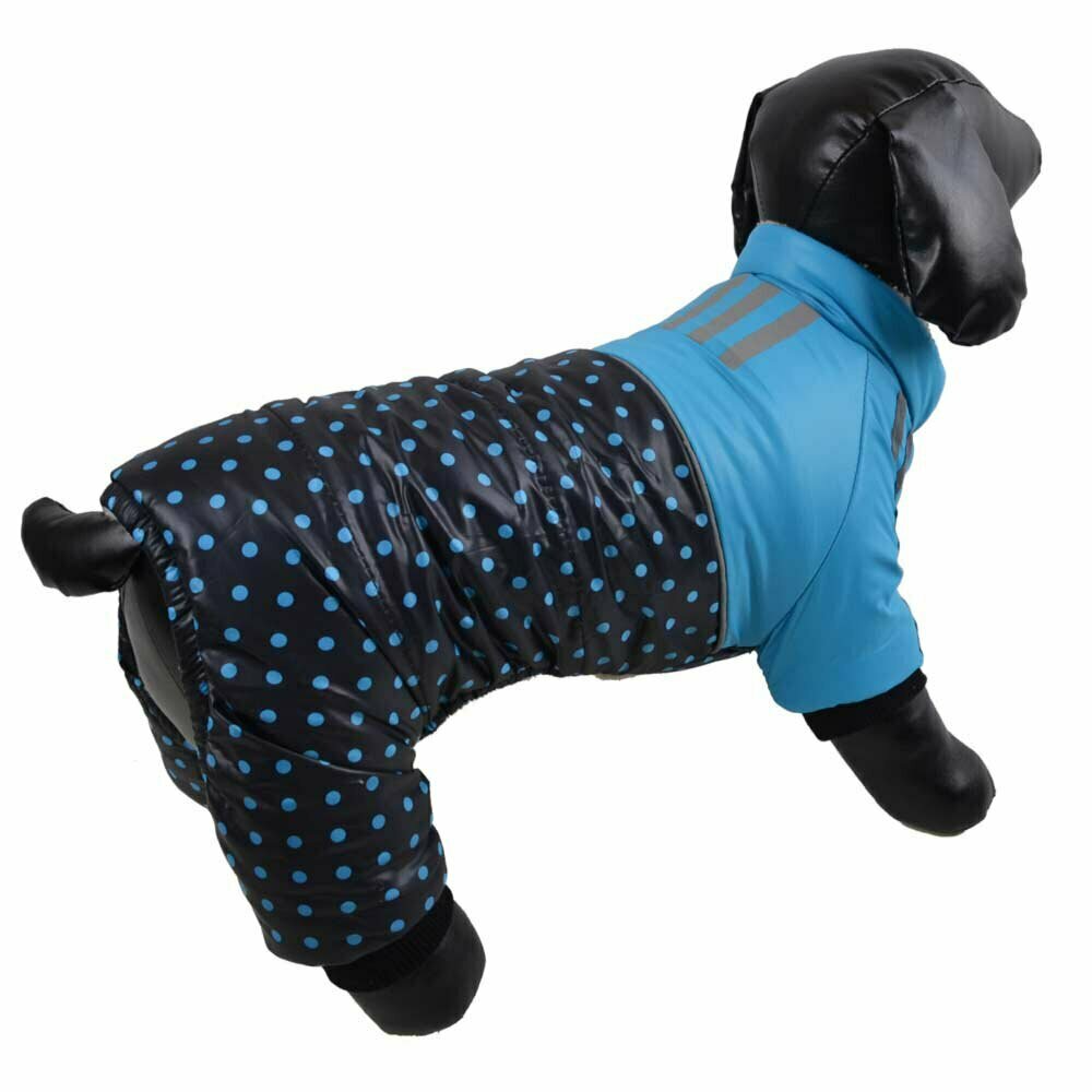 Warme Hundebekleidung - blauer Anorak