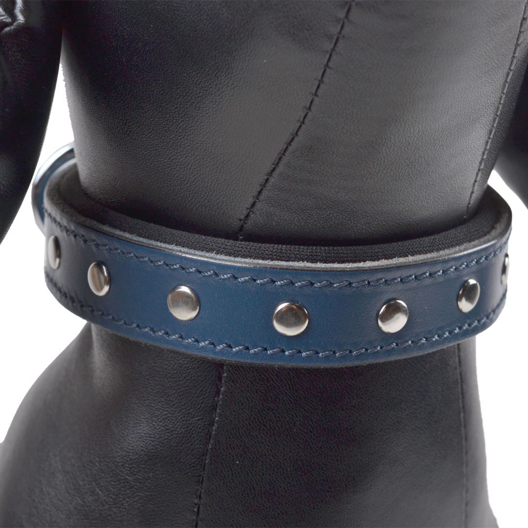 Lined studded collar in blue leather